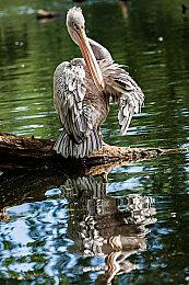 《索尼克赛车 交叉世界》销量破百万！玩家数据公布